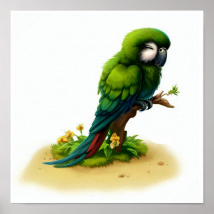 Poster Une peinture à l'aquarelle 3D d'un grand ara vert