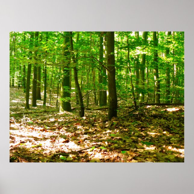 Poster Une perspective de chien (Devant)