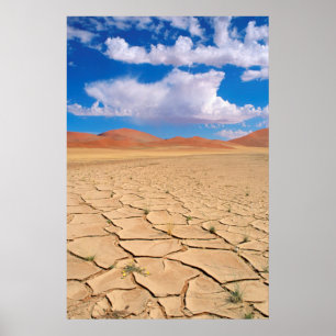 Poster Une plaine désertique fissurée