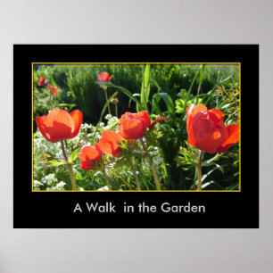 Poster Une promenade dans le jardin