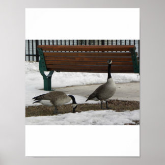 Poster Une promenade dans le parc