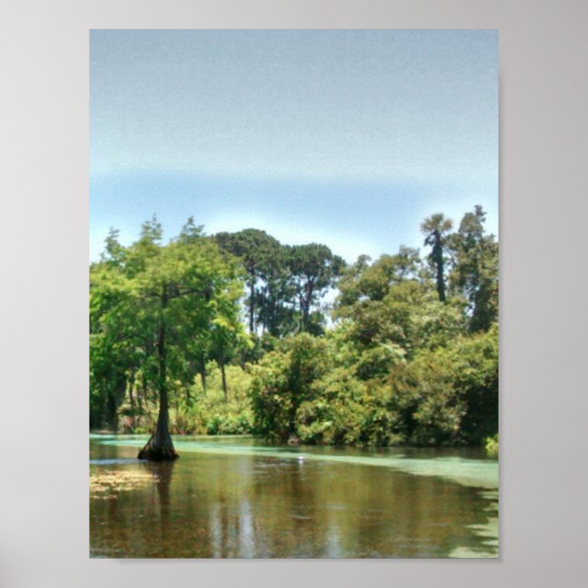 Poster Une rivière de printemps sur Weeki Wachee en Flori (Devant)