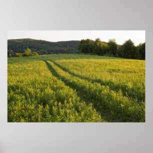 Poster Une route agricole dans Sabins Pasture à Montpelie
