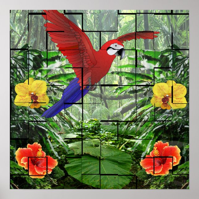 Poster Une scène artistique de forêt tropicale humide (Devant)