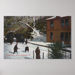 Poster Une scène hivernale, Adultes jouant dans la neige
