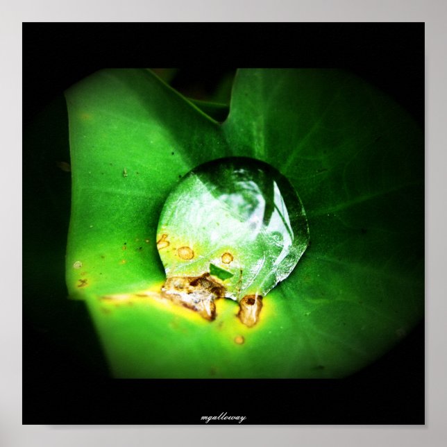 Poster une seule goutte (Devant)