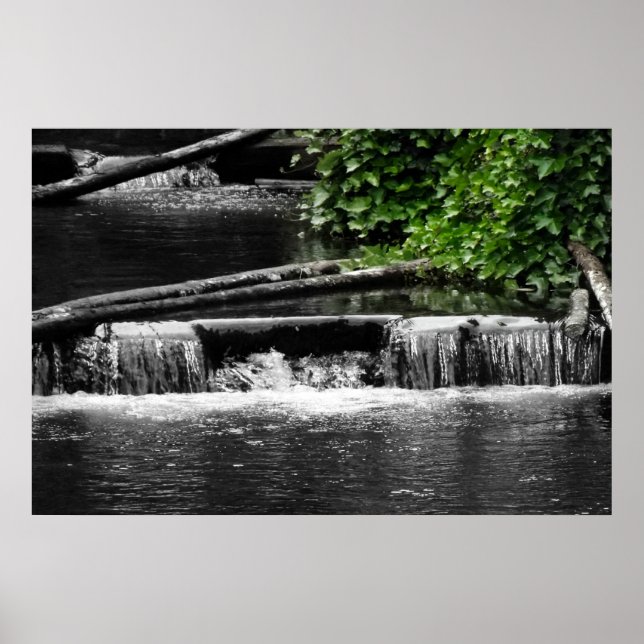 Poster Une touche de vert (Devant)