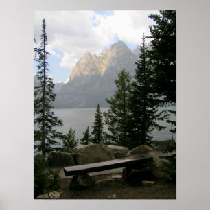 Poster Une vue avec un banc