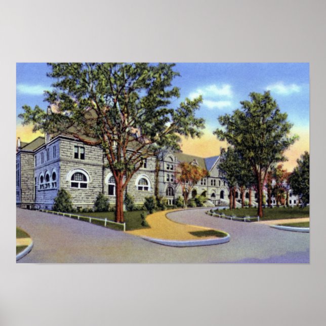 Poster Université Tulane de la Nouvelle-Orléans (Devant)