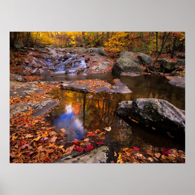 Poster Upper Whiteoak Falls, Parc national de Shenandoah, (Devant)