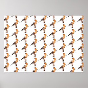 Poster Upupa epops epops Motif carrelé