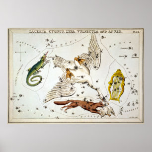 Poster Urania's Mirror - Lacerta, Cygnus, Lyra, Vulpecula