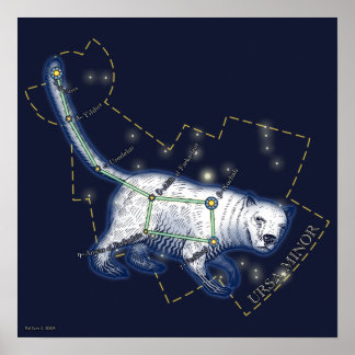 Poster Ursa Minor (affiche)