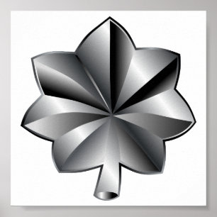 Poster US Military Rank - Lieutenant Colonel