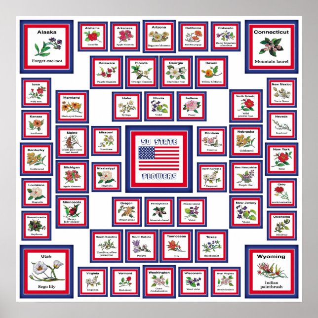 POSTER USA 50 FLEURS D'ÉTAT BLANC/559 (Devant)
