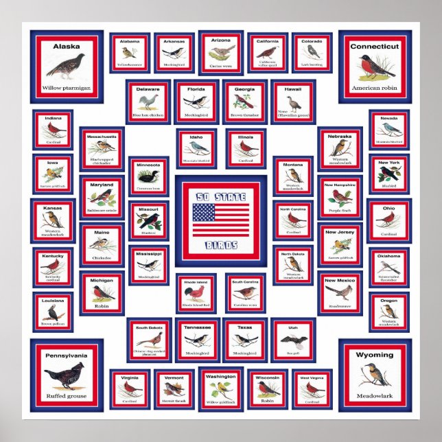 POSTER USA 50 OISEAUX D'ÉTAT BLANC/553 (Devant)