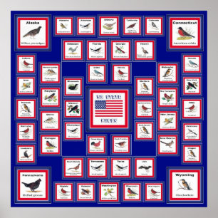 POSTER USA 50 STATE BIRDS BLUE/552