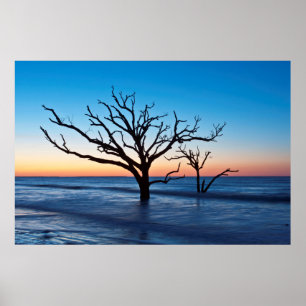 Poster USA, Caroline du Sud, Edisto Island, Botany Bay