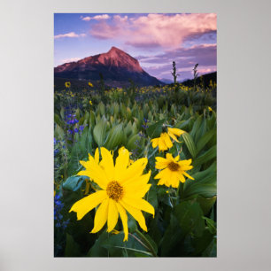 Poster USA, Colorado, Mt. Crested Butte