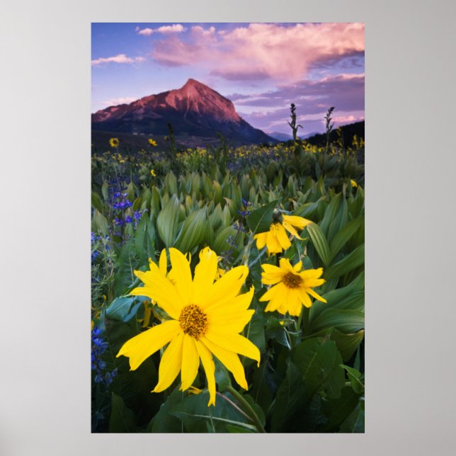 Poster USA, Colorado, Mt. Crested Butte (Devant)