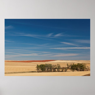 Poster USA, Dakota du Sud, Murdo, Paysage des Prairies