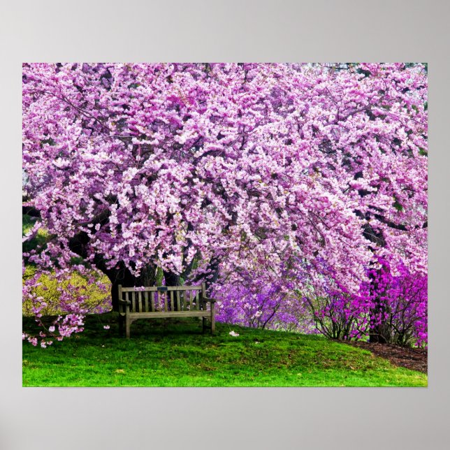 Poster USA, Delaware, Wilmington. Banc en bois sous (Devant)