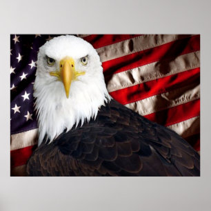 Poster USA Eagle Patriotique