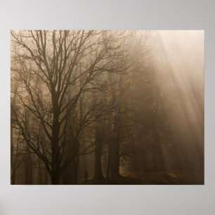 Poster USA Great Smoky Mountain NP Tennessee