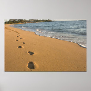 Poster USA, Hawaii, Kauai, Kapa'a, front de mer. RF)
