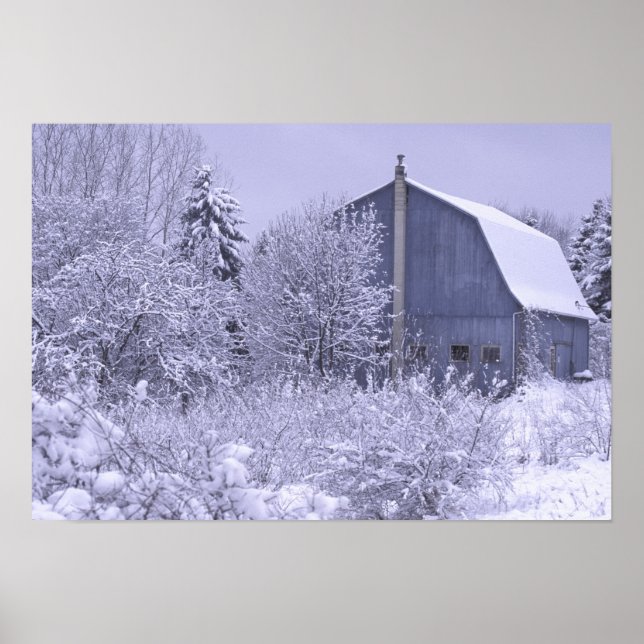 Poster USA, Michigan, Rochester Hills. Bleu neigeux (Devant)