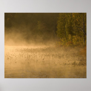 Poster USA, New York, Adirondack Park. Puits de soleil al