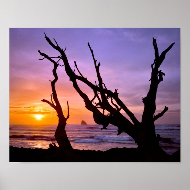 Poster USA, Oregon, Cape Meares. Coucher du soleil (Devant)