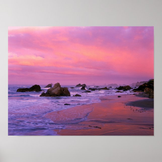 Poster USA, Oregon, Harris State Beach, Brookings. (Devant)