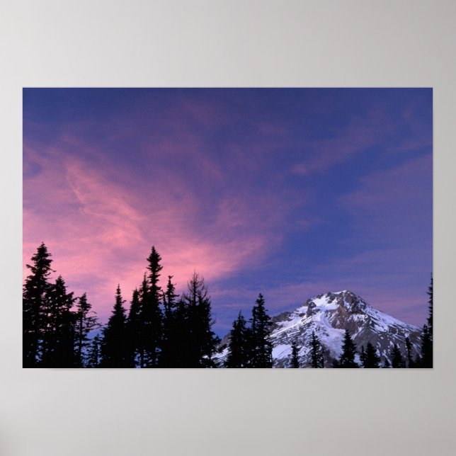 Poster USA, Oregon, Mont Hood de Timberline (Devant)