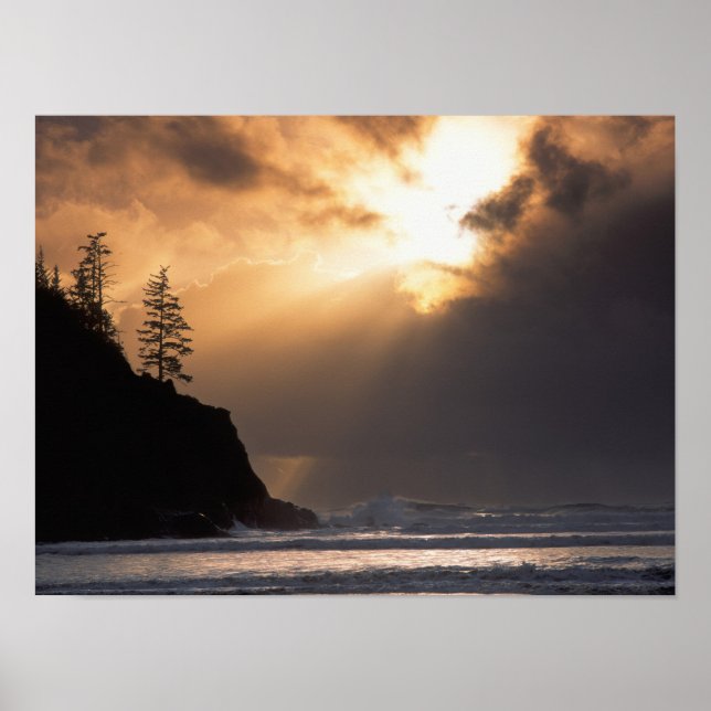 Poster USA, Oregon, près du parc Oswald West State Park,  (Devant)