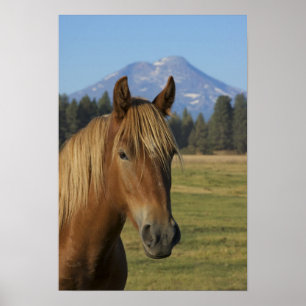 Poster USA, Oregon, Soeurs, vue de Trois Soeurs,