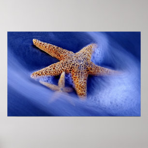 Poster USA, South Carolina, Hilton Head Island. Two