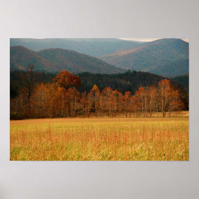 Poster USA, Tennessee. Cades Cove Dans Smoky Mountain (Devant)