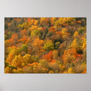 Poster USA, Tennessee. Fall Foliage 2