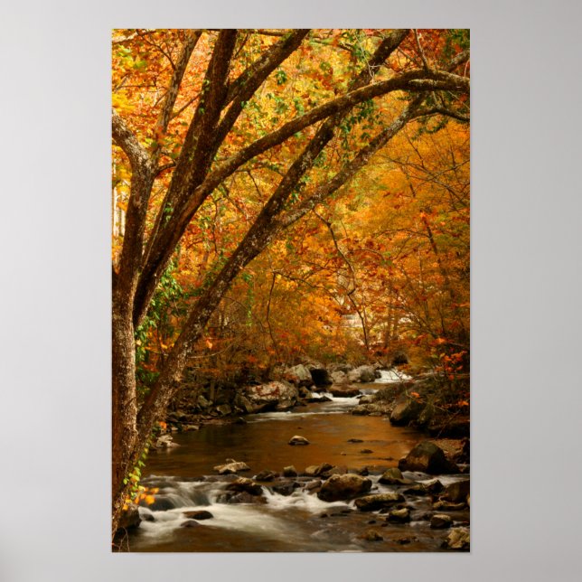 Poster USA, Tennessee. Ruisseau Mountain 3 (Devant)