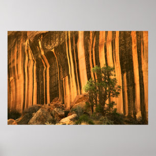 Poster USA, Utah, Parc national du Capitol Reef