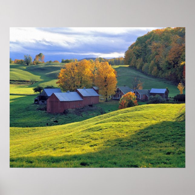 Poster USA, Vermont, Jenne Farm. Les collines verdoyantes (Devant)