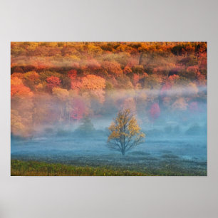 Poster USA, Virginie-Occidentale, Davis. La vallée du Mis