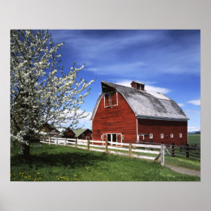 Poster USA, Washington, Ellensburg, Barn