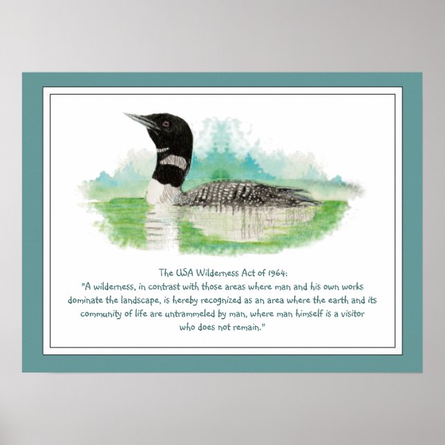 Poster USA Wilderness Act Citation, Aquarelle (Devant)