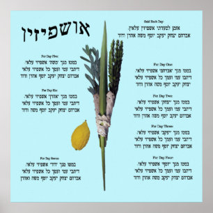 Poster Ushpizin & Arba Minim (4 espèces)
