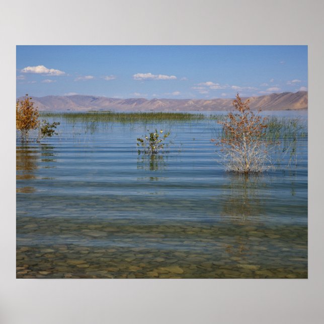 Poster UT, lac Bear (Devant)