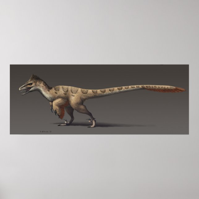 Poster Utahraptor (Devant)