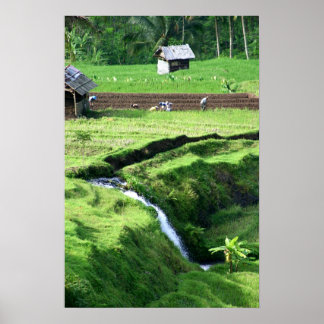 Poster Utilisation des champs