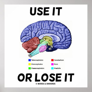 Poster Utilisez-Le Ou Perdez-Le (Conseil Cerveau Anatomiq